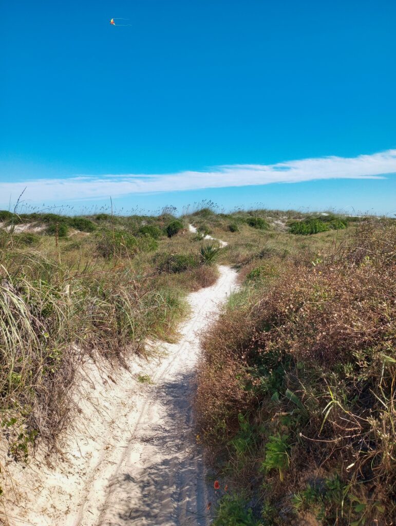 Sandy E Bike Track on Palm Coast Beach