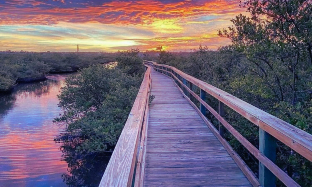 Betty Steflik Preserve.